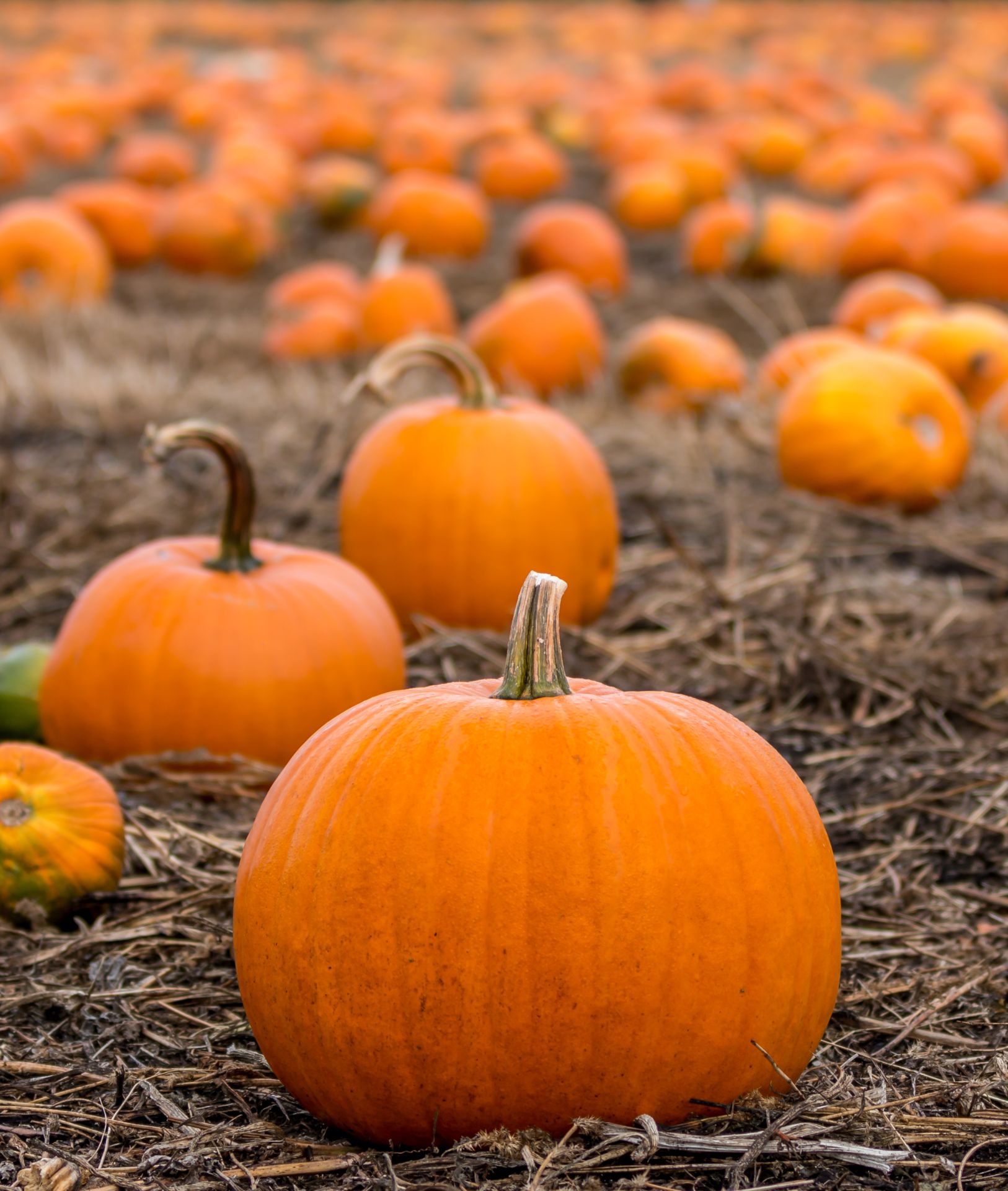 The Best Seaside Towns Close to London Blog Zipcar